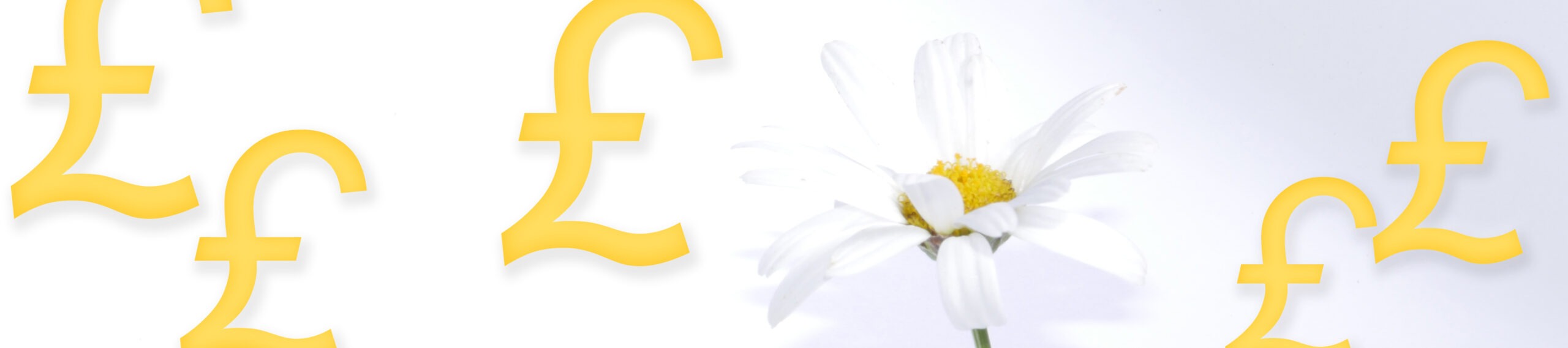 My prices for online and phone counselling at Daisy Vision Counselling